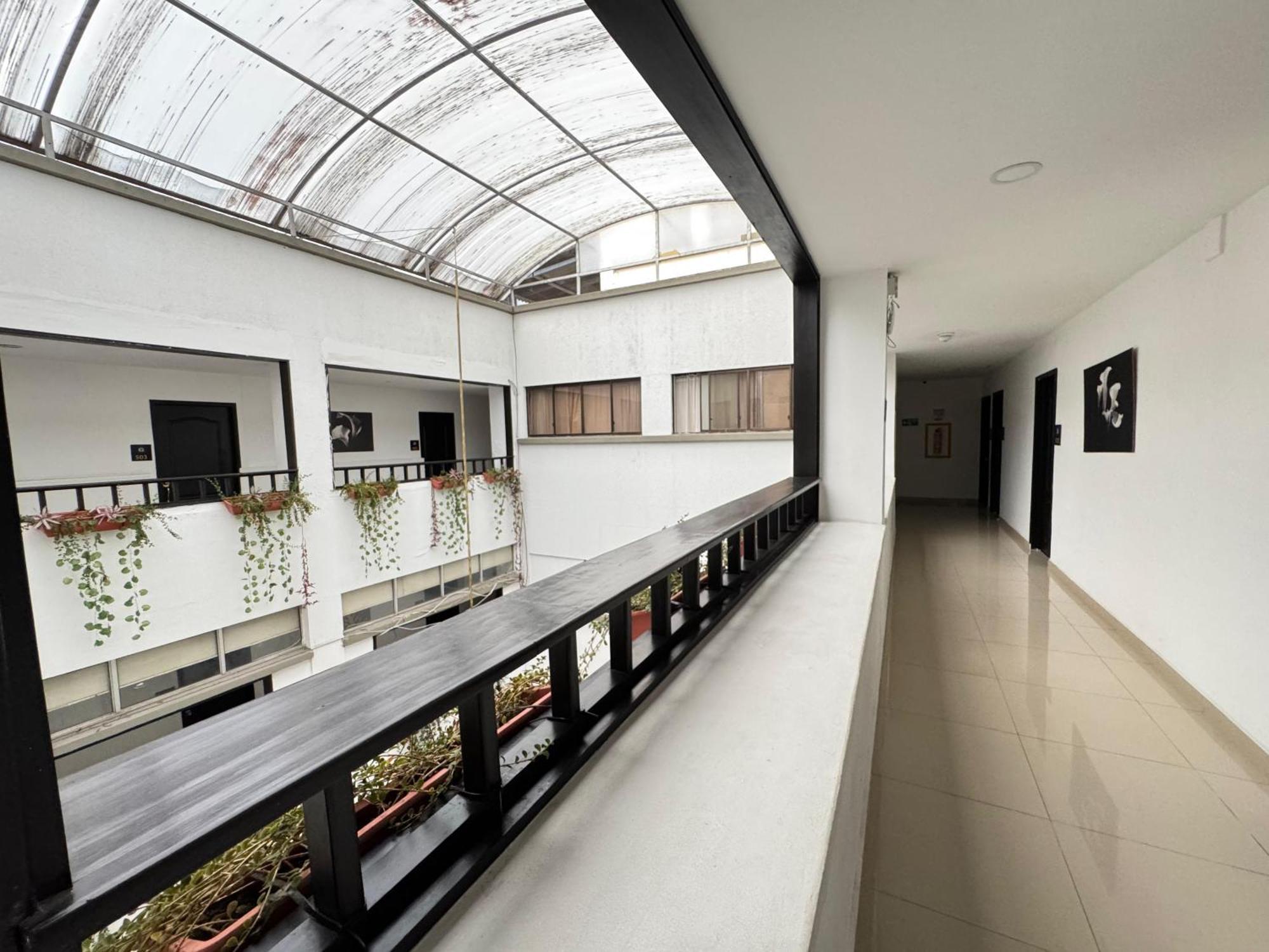 Catalina Plaza Pereira